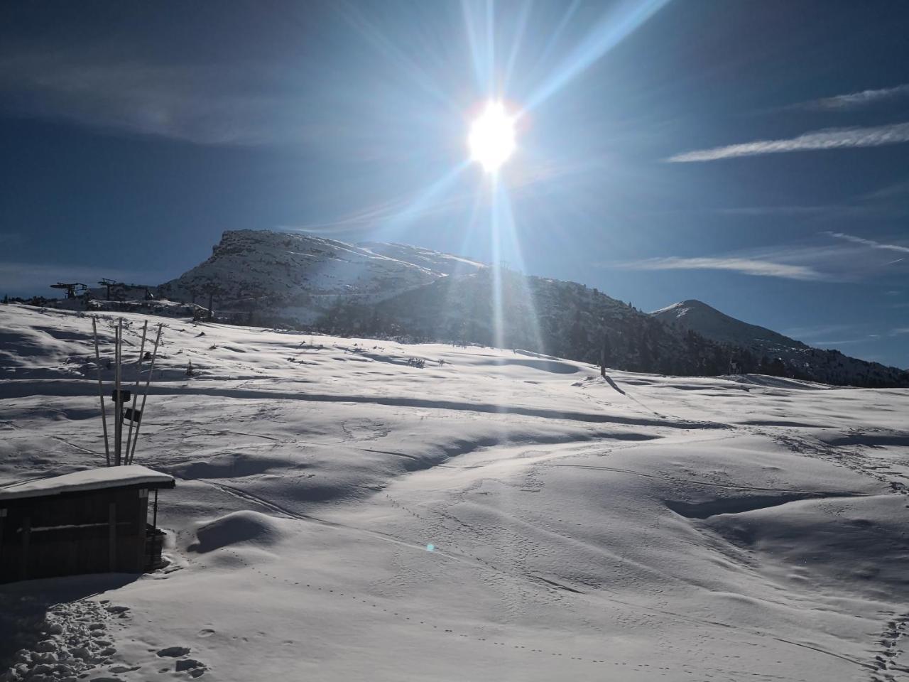 Hotel Alpenrose ปาสโซ รอลลี ภายนอก รูปภาพ