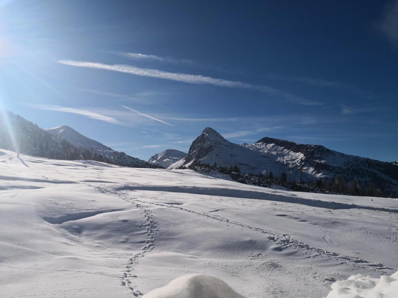 Hotel Alpenrose ปาสโซ รอลลี ภายนอก รูปภาพ